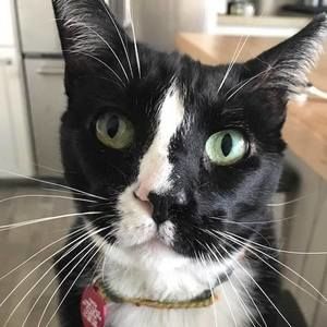 Meet your Posher, Kanani